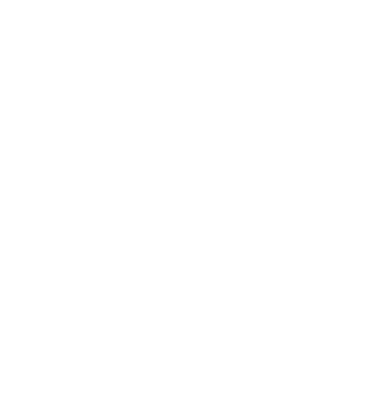 Image-IIMSAM